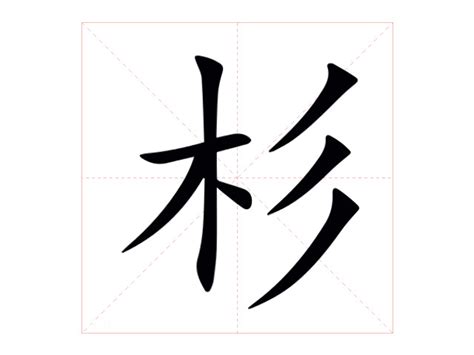 杉意思|杉字的解释